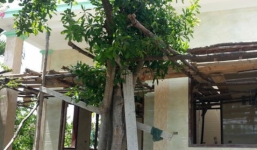  Tâm sự của người chồng có vợ ở chung phòng với chủ tịch xã trong khách sạn